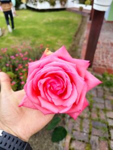 img 20250516 105407