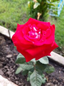 img 20250528 174516