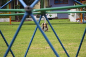 img 8369